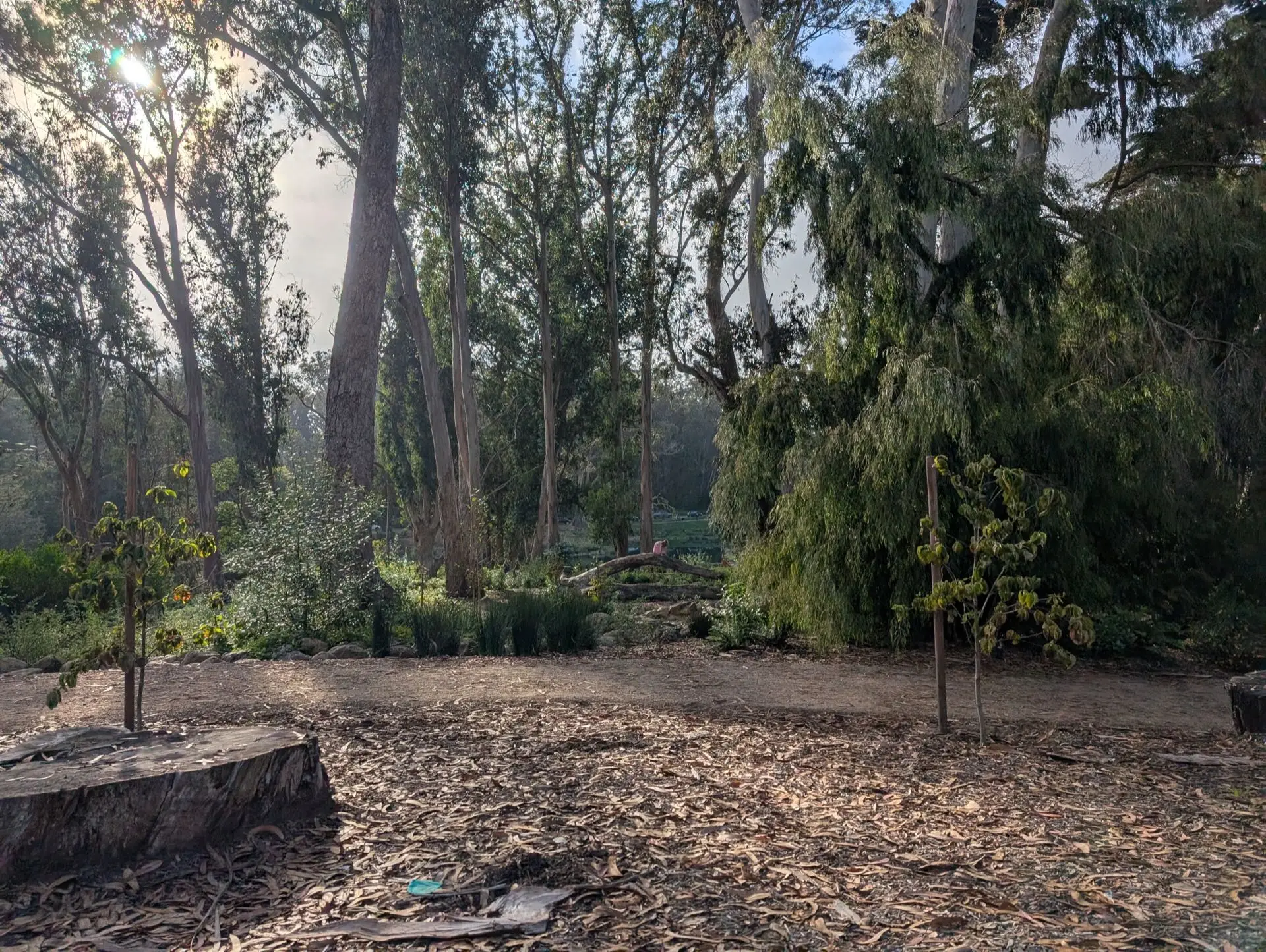 Golden Gate Park, San Francisco
