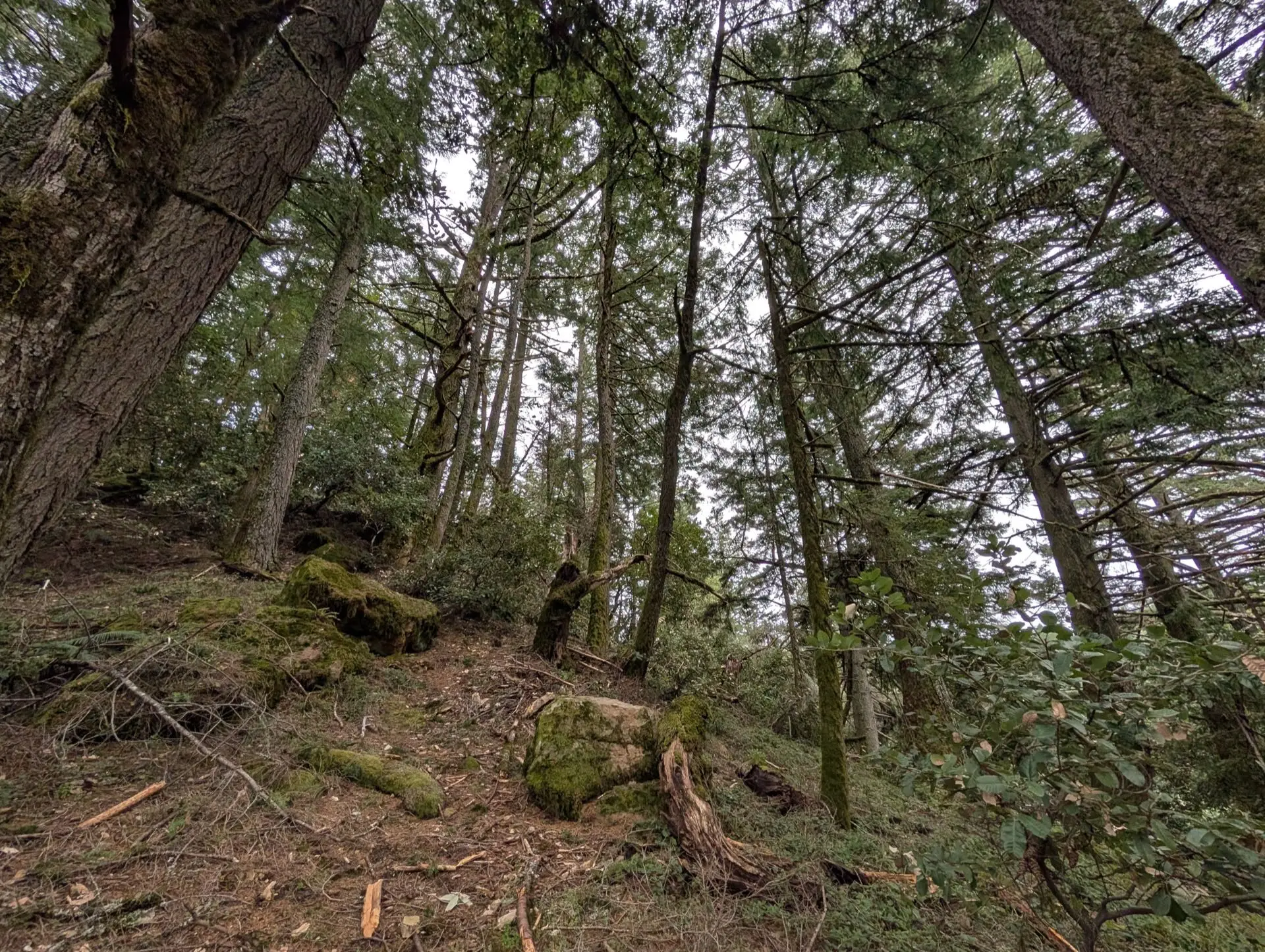 Golden Gate Park, San Francisco