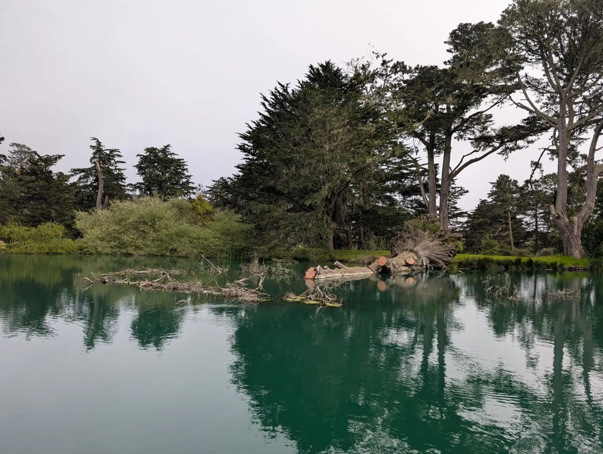 Golden Gate Park, San Francisco
