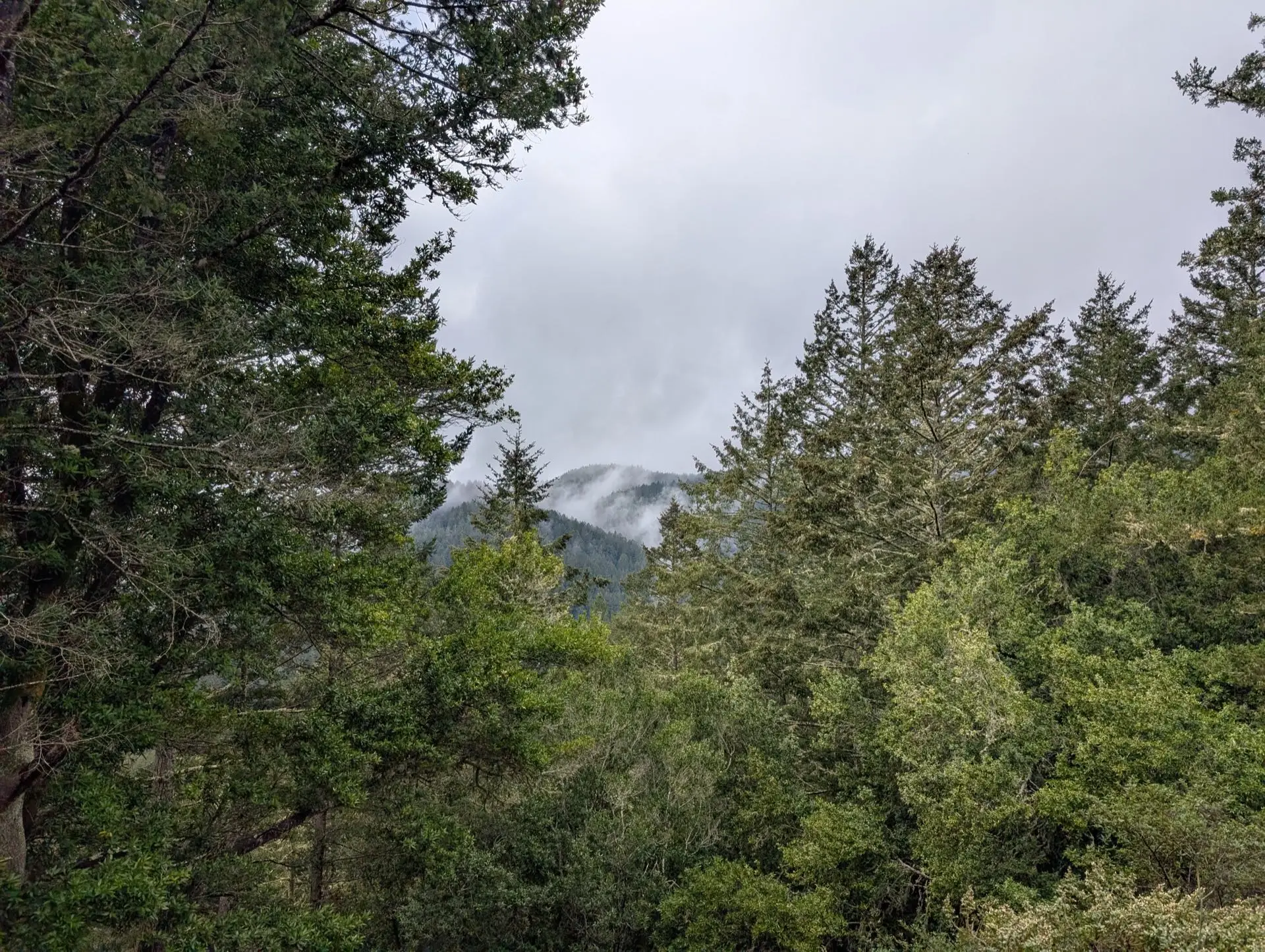Golden Gate Park, San Francisco