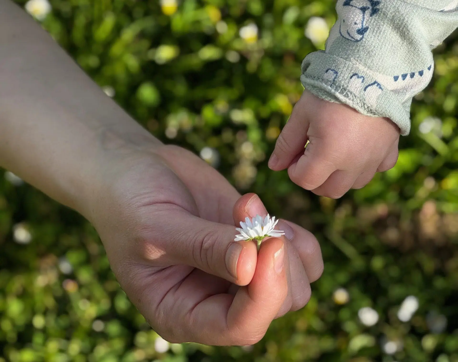 Children at Taiga forest preschool exploring Golden Gate Park, San Francisco.