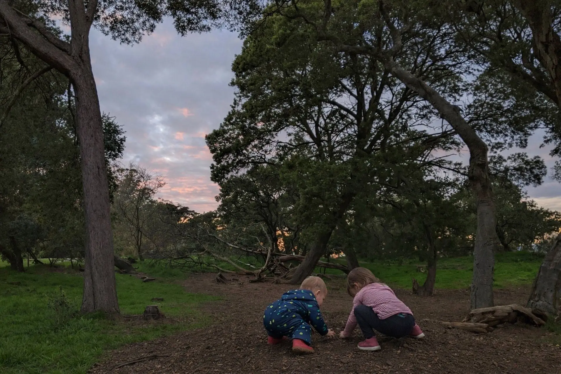 Children at Taiga forest preschool exploring Golden Gate Park, San Francisco.