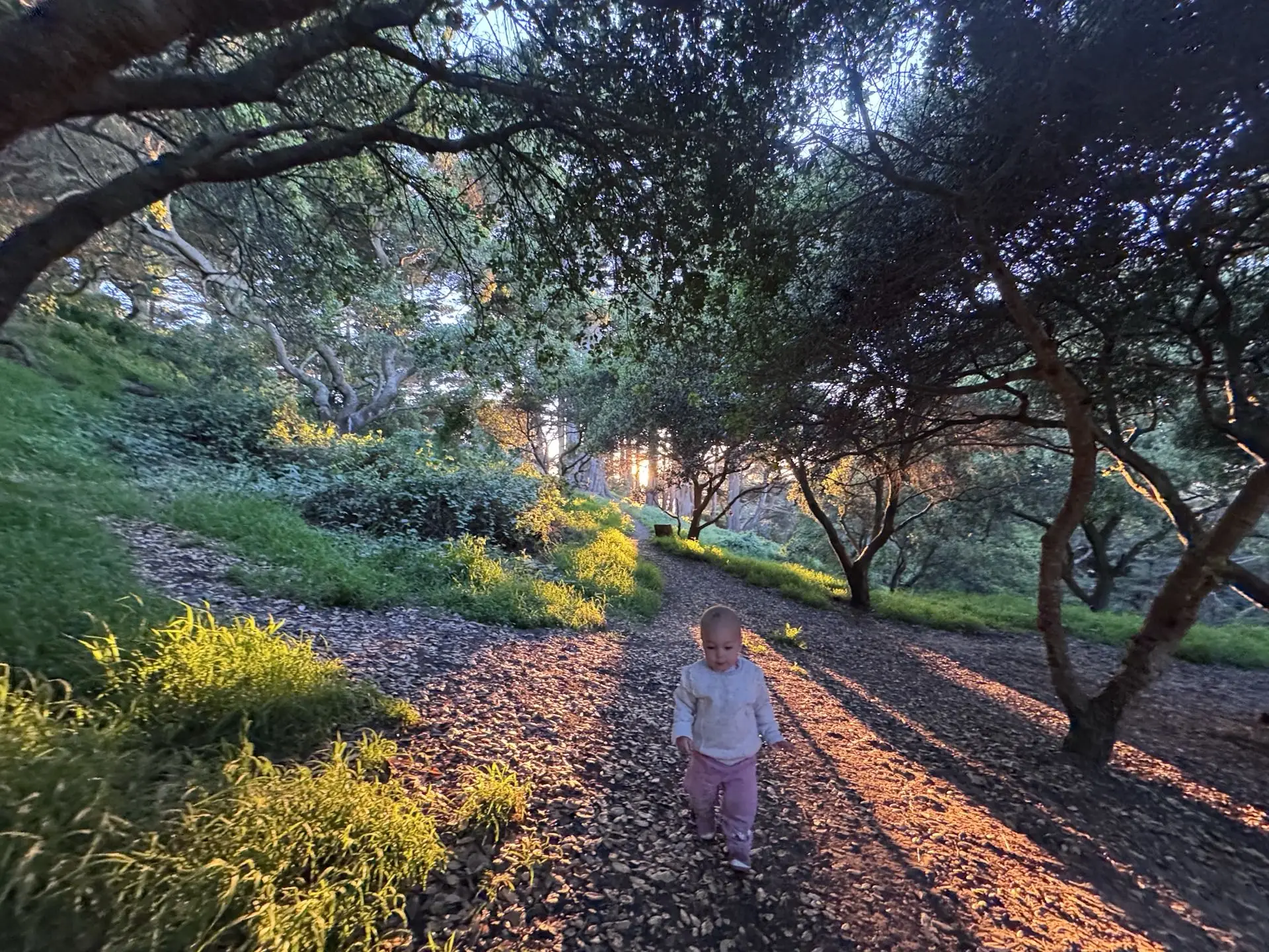 Children at Taiga forest preschool exploring Golden Gate Park, San Francisco.